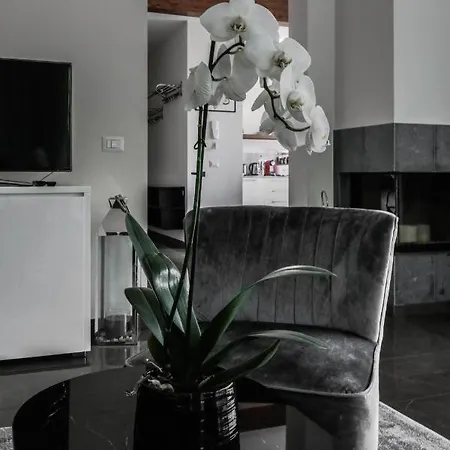 埃琳娜别墅 度假居